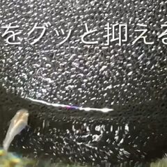 【朗報】上部ろ過 / 水流をぐっと抑える！ ＜ メダカOK！・金...