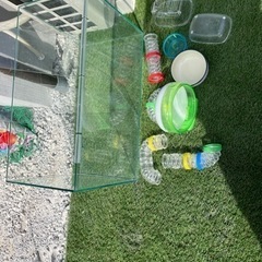 ハムスター飼育セットの画像