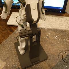 QUMARION（クーマリオン）の画像