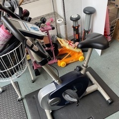 【🚴こいで🚴‍♂️こいで🚴‍♀️こぎまくれ〜】アルインコ(ALI...