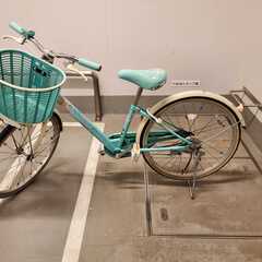 【自転車譲ります／小学女児用】BRIDGESTONE エコパル 20インチの画像