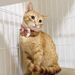本日空いてる方へ