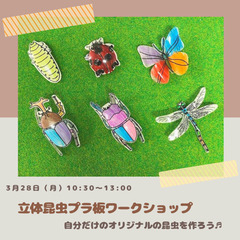 立体昆虫プラバンワークショップ