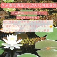 2025年が最後のチャンス✨月2-3回通学ヨガ資格取得　未経験歓迎！　6/22スタートの画像