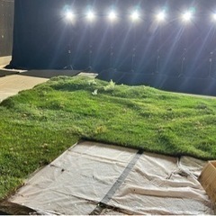 芝生　ジョイターフ　差し上げます。の画像