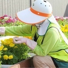 誰でも簡単お仕事！！日給1万円以上！！日払い週払い相談可！！お気軽にお問い合わせ下さい！！の画像