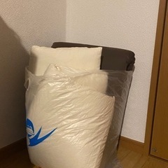 座布団✖️2枚　ニトリロング低反発クッション1