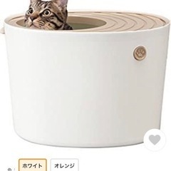 上から猫トイレプチ