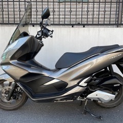 ホンダ　pcx 125 jf81 ⭐︎東京から　⭐︎屋根下保管　⭐︎即日渡し可能の画像
