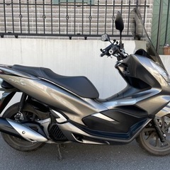 ホンダ　pcx 125 jf81 ⭐︎東京から　⭐︎屋根下保管　⭐︎即日渡し可能の画像