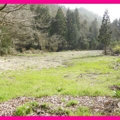 🏡 山県郡北広島町本地　売土地　憧れの自分だけのキャンプ場を持ち...