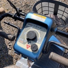 セニアカースズキの画像