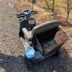 セニアカースズキの画像