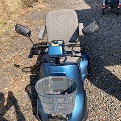 セニアカースズキの画像