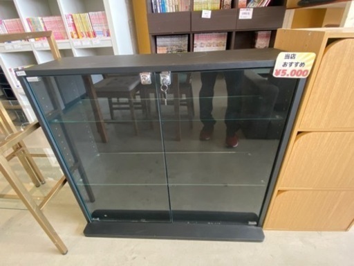 収納ケース 収納棚 コレクションケース