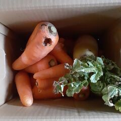 訳あり野菜