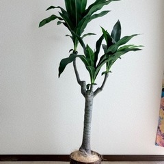 フェイクグリーン　造花　観葉植物  大型　インテリア　風水　装飾