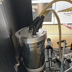 60センチ水槽セット。の画像