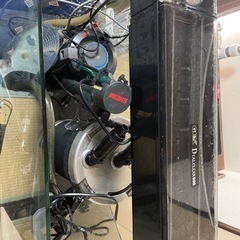 60センチ水槽セット。の画像
