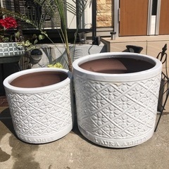 ローラアシュレイ　陶器鉢　2個セット