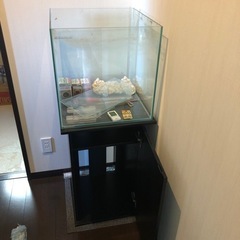 コトブキ　水槽　