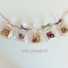 \バラ農家さんの春のお花ws/の画像