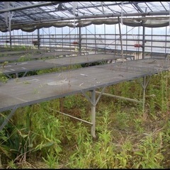 育苗用ベンチ 作業台