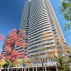 ♪【駅徒歩4分初期費用20万円】都営新宿線曙橋駅！ 新宿区タワマ...