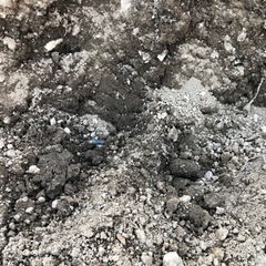 🌈残土 土嚢 🌈欲しい方取りに来てくださいー😭の画像