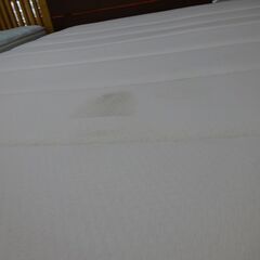 （商談中）ニトリ　レッグタイプ　ダブルベッド　Nスリープ　アスカ3【愛品倶楽部柏店】の画像