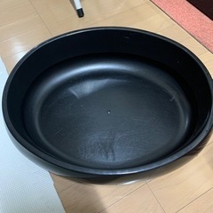 猫　トイレ