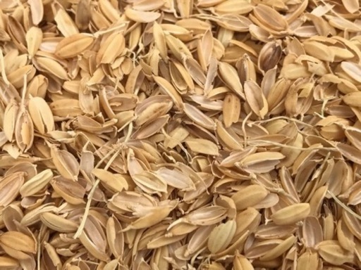 籾殻　軽トラ一杯　即日　配達します！