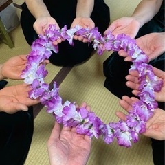奈良県奈良市　フラダンス　ハワイアンフラ　サークルメンバー募集　...