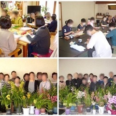 シンビジウム(洋ラン)教室 ★会員様募集中★月一で習い事始めてみ...