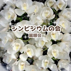 シンビジウム(洋ラン)教室 ★会員様募集中★月一で習い事始めてみませんか？の画像