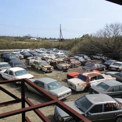 メルセデス―ベンツ123-280CE部品取り車輛