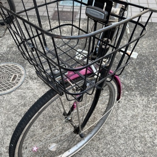22インチ　ブリジストン 自転車　女の子　ワイルドベリー