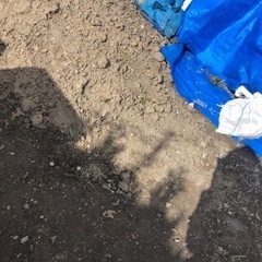 🌈残土 土嚢 🌈欲しい方取りに来てくださいー😭の画像