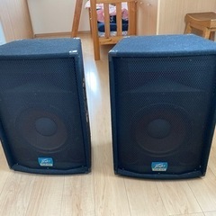 佐渡宿泊素泊まり　Peavey PR15 スピーカー 　国内希少 Dorsey Music - Peavey PR15 Passive Speaker