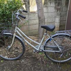 自転車　いろいろあります