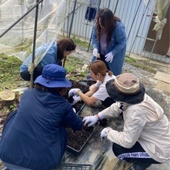 ボーイスカウト経験者🤩みんなでキャンプしませんか☺️ - 友達