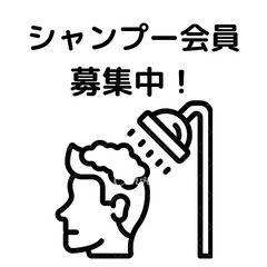～シャンプー会員募集中～