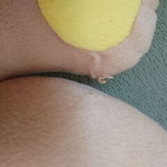 約56cm リラックマ ぬいぐるみの画像