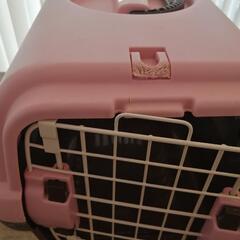 ペットキャリー☆の画像