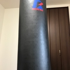 健康グッズ、サンドバッグ