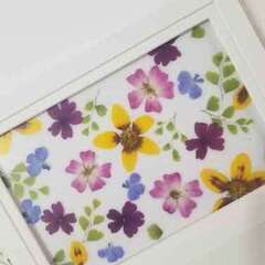 ～季節のお花で作る押し花スタンドカード～の画像
