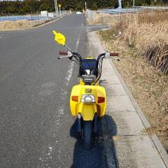 ホンダ スカッシュ 改