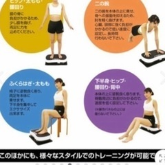 BODY SHAKER Fit  振動マシーン　ブルブルマシーンの画像