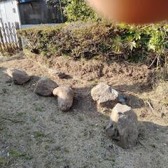 《譲渡済》小振りな庭石差し上げます