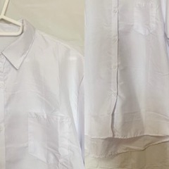 【新品】レディース Yシャツの画像